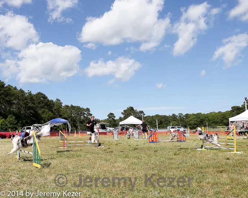 20140615-comp-0155.jpg