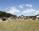 20140615-comp-0108