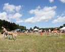 20140615-comp-0115