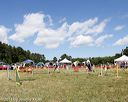 20140615-comp-0125