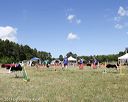 20140615-comp-0140