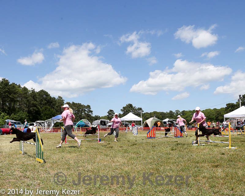 20140615-comp-0109.jpg