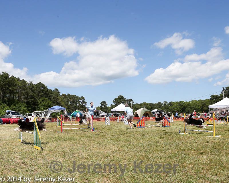 20140615-comp-0111.jpg