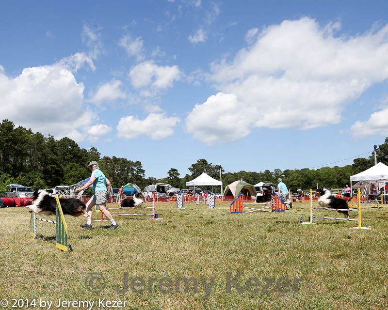 20140615-comp-0118.jpg