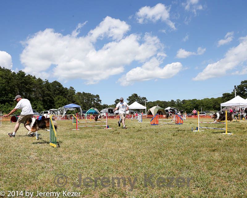 20140615-comp-0122.jpg
