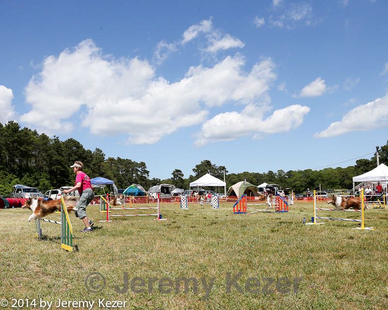 20140615-comp-0123.jpg