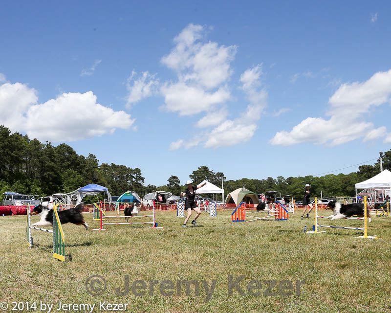 20140615-comp-0129.jpg