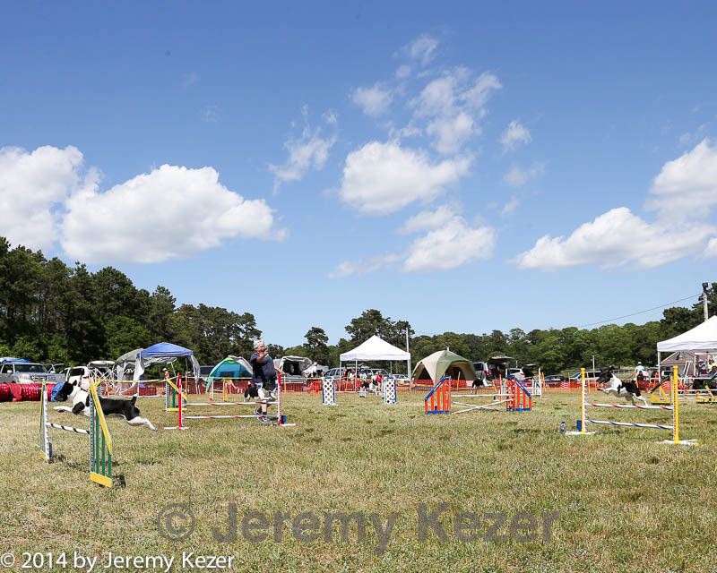 20140615-comp-0130.jpg
