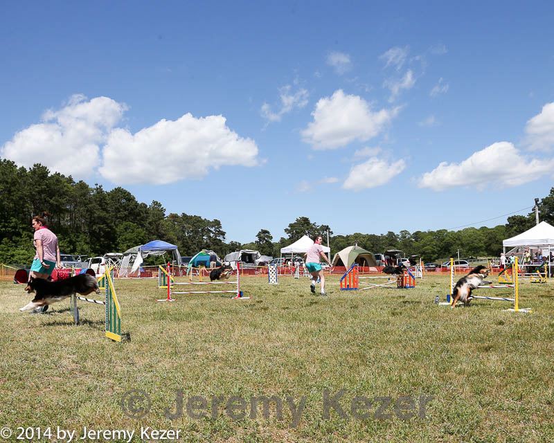 20140615-comp-0131.jpg