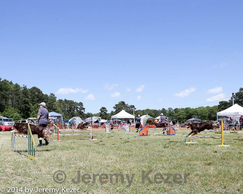 20140615-comp-0097.jpg