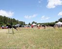 20140615-comp-0071