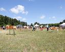 20140615-comp-0075