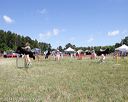 20140615-comp-0078