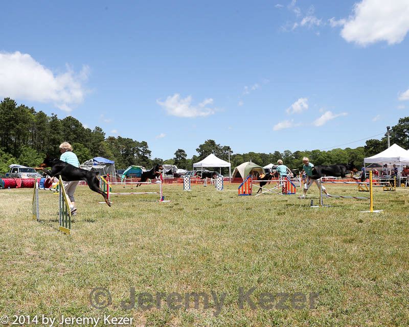 20140615-comp-0072.jpg