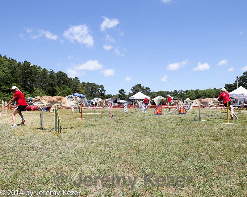 20140615-comp-0076.jpg