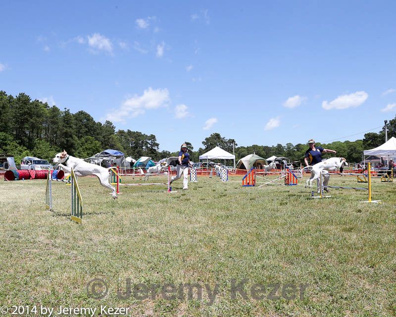 20140615-comp-0077.jpg