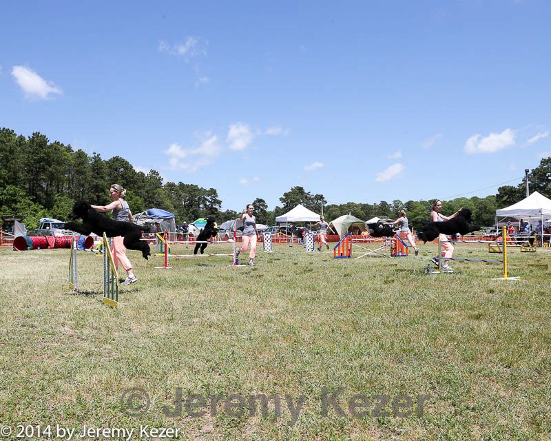 20140615-comp-0078.jpg