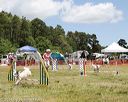 20140615-comp-0067