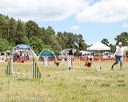 20140615-comp-0069