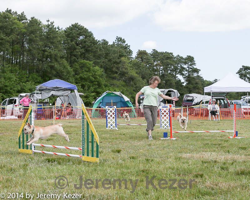 20140615-comp-0068.jpg
