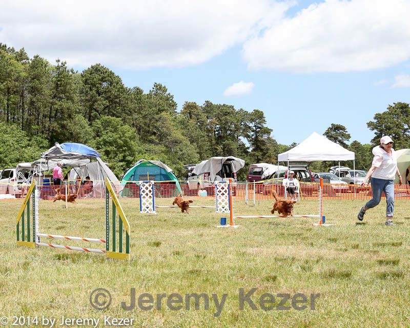 20140615-comp-0069.jpg