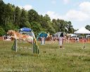 20140615-comp-0053