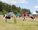 20140615-comp-0061
