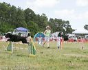 20140615-comp-0055