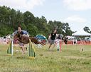 20140615-comp-0059
