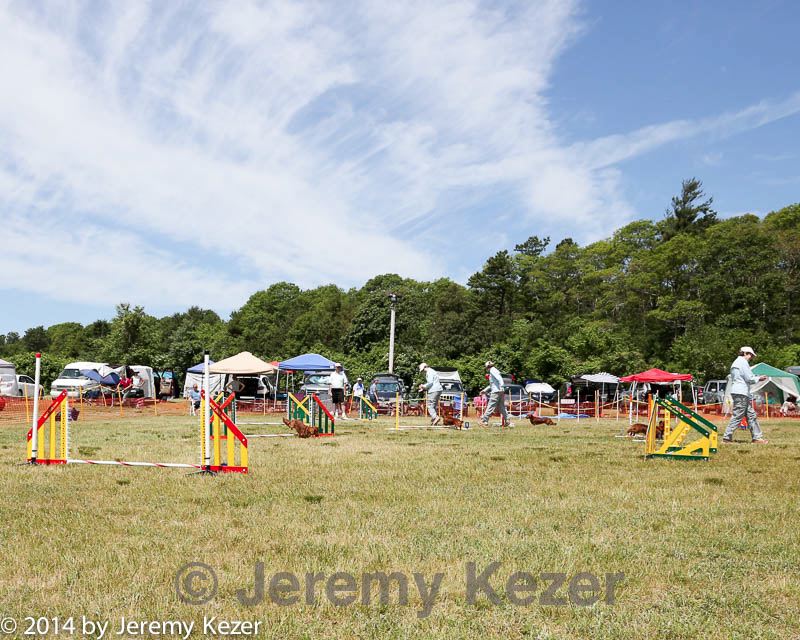 20140615-comp-0051.jpg