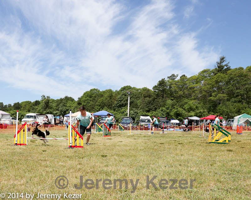 20140615-comp-0046.jpg