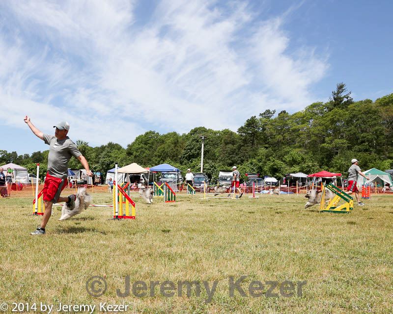 20140615-comp-0048.jpg