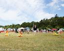 20140615-comp-0039