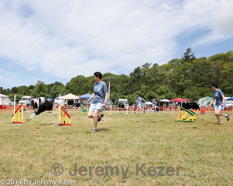 20140615-comp-0032.jpg