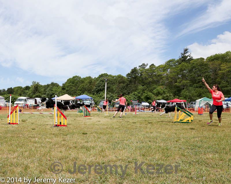 20140615-comp-0035.jpg