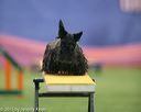 20150321-leap-1819