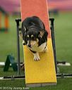 20150321-leap-1829