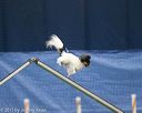 20150321-leap-1731