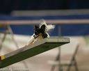 20150321-leap-1734