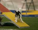 20150321-leap-1738