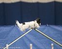20150321-leap-1741