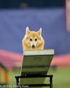 20150321-leap-1750