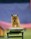 20150321-leap-1777