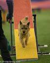 20150321-leap-1779