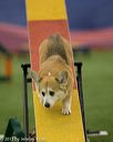 20150321-leap-1800