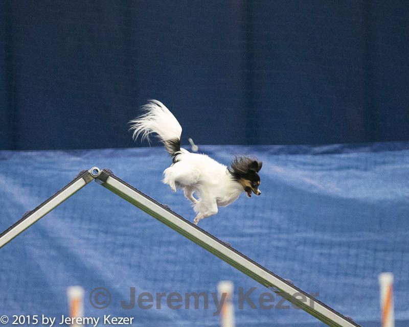 20150321-leap-1731.jpg