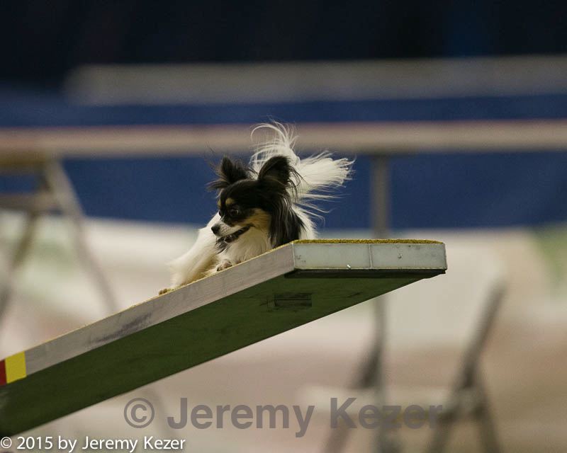 20150321-leap-1734.jpg