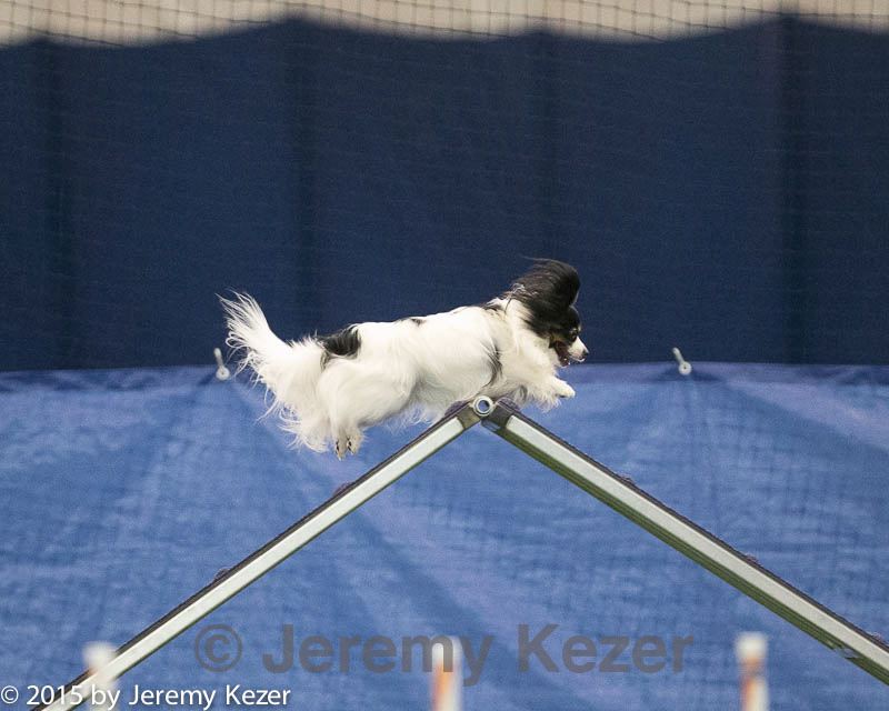 20150321-leap-1741.jpg