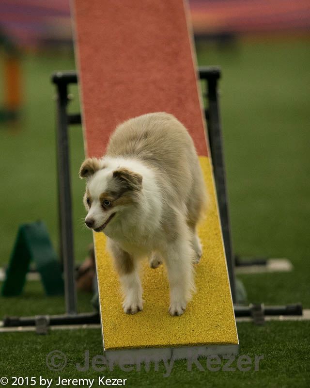 20150321-leap-1744.jpg