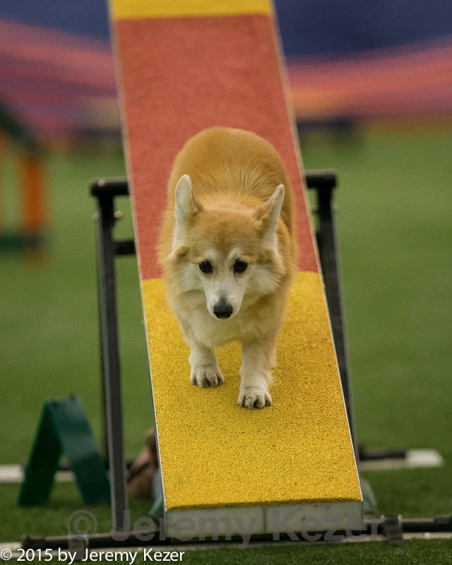 20150321-leap-1751.jpg
